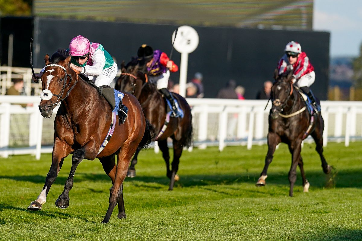 Salisbury features a six-race Flat card on Tuesday when Newsboy's nap, Blue Prince, runs in the 7.51 over a mile