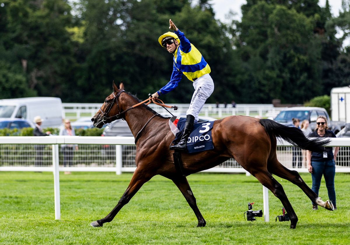 Goliath: 2024 King George winner entered in 2026 edition
