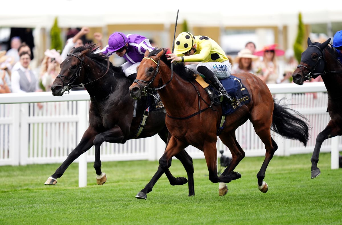 Bow Echo (right) wins by a short head from Gstaad