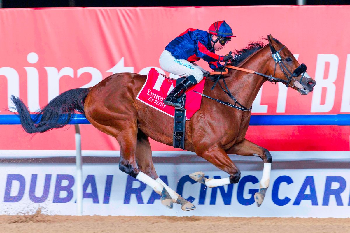 Imperial Emperor: has won nearly £1.5 million