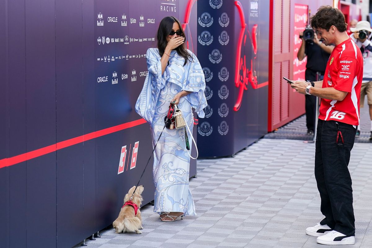 Dog urinates in F1 paddock as owner puts her hand to her mouth