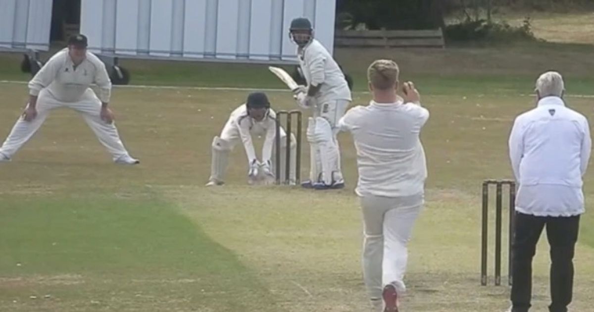 Cricket action