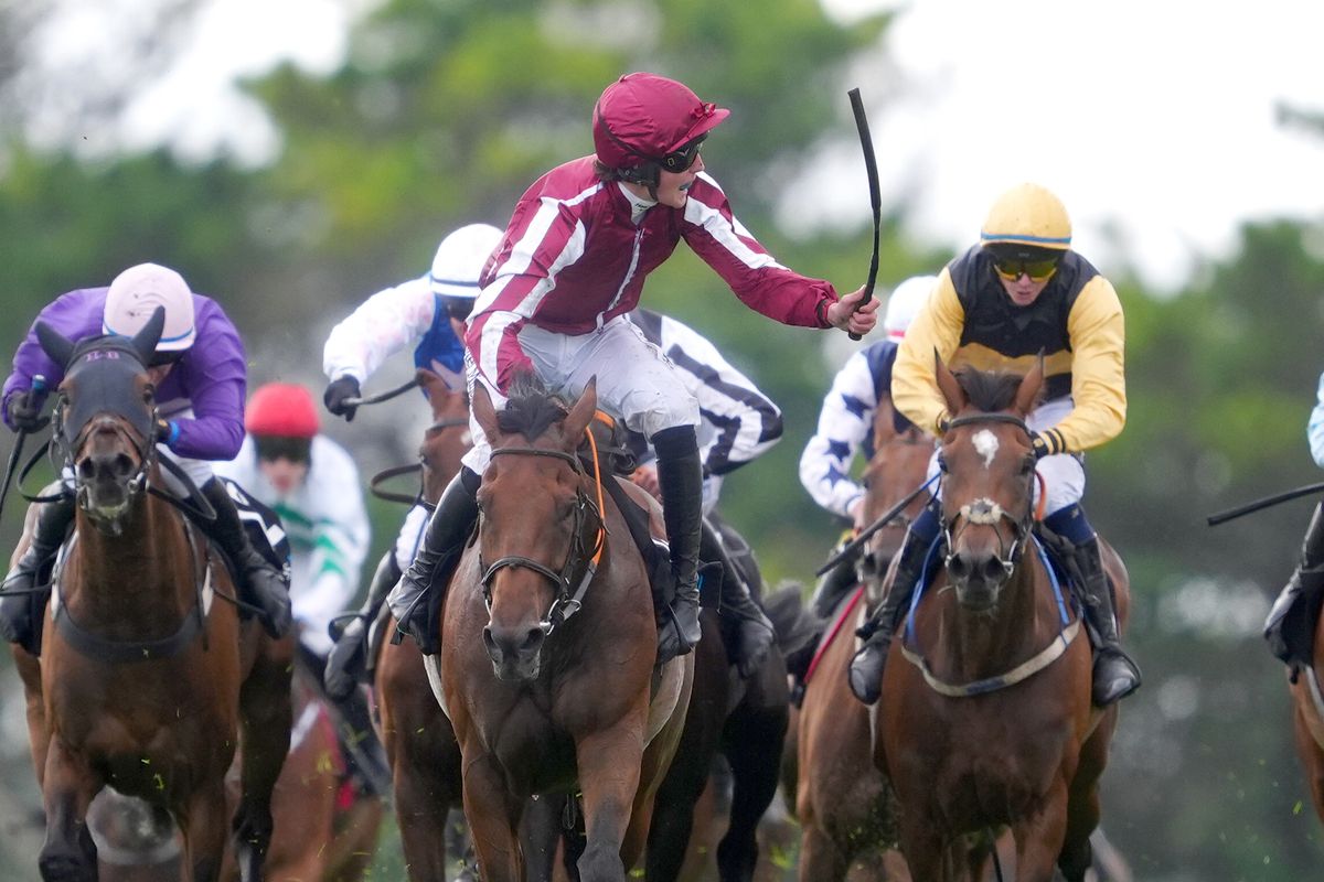 Daniel King (centre) riding Putapoundinthejar celebrates as he wins the Guinness Galway Hurdle