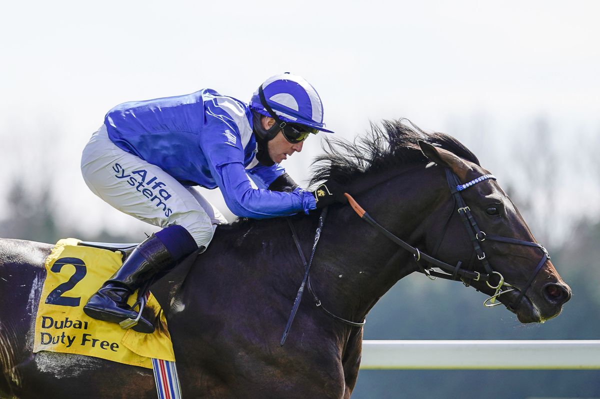 Al Aasy: fancied by Newsboy