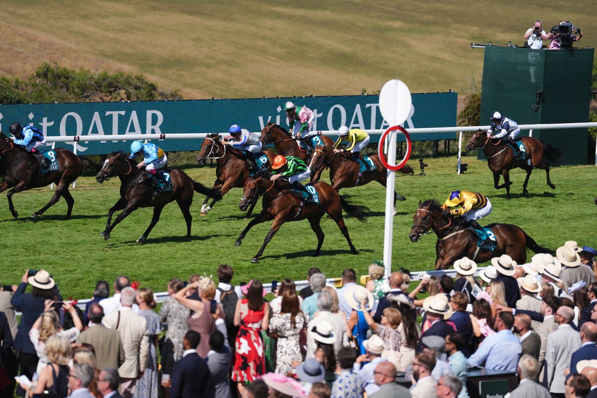 Lamborghini (centre, number 6): finished sixth in the King George Stakes at Goodwood