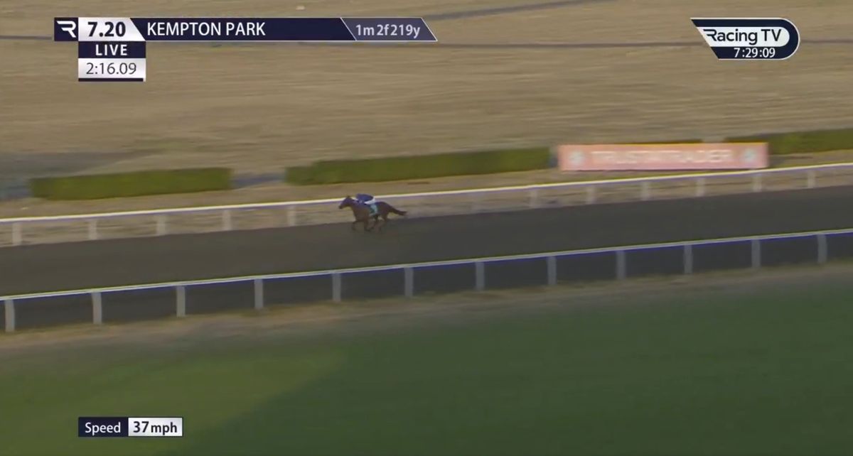 Out on his own: Fortitudine at Kempton