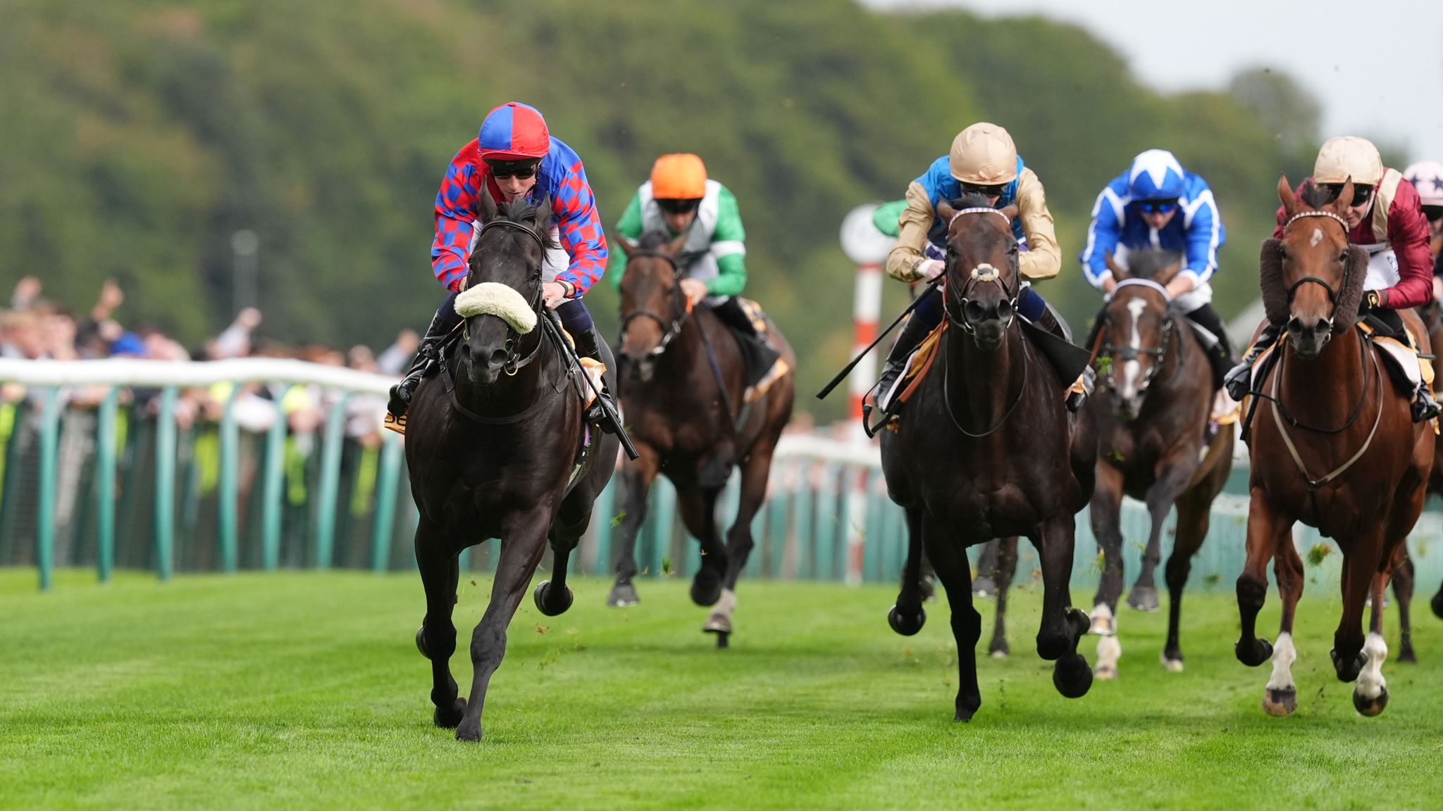 Big Mojo (left) won the Sprint Cup last term
