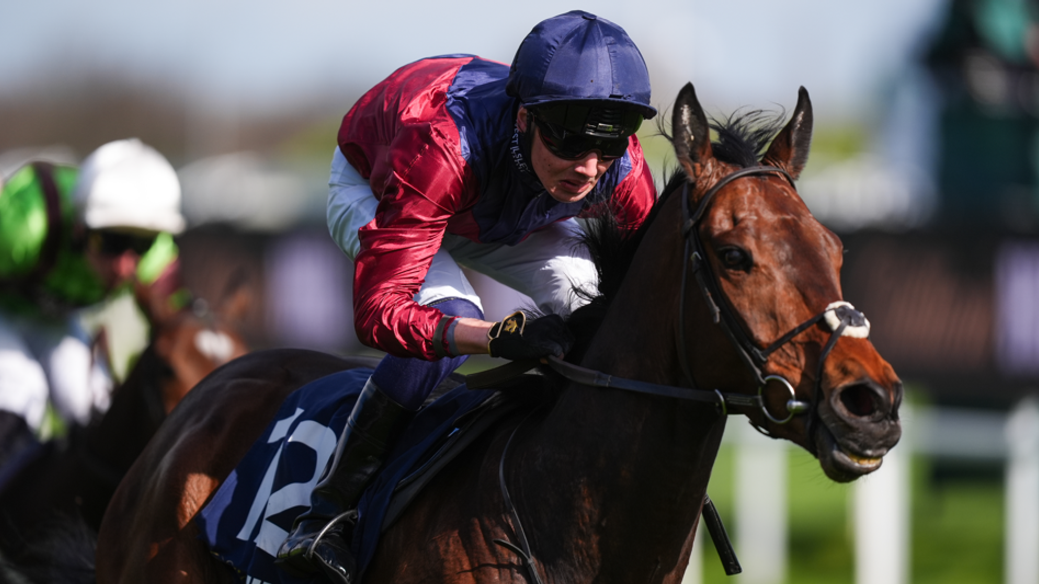 Mezcala returns to Ascot this weekend