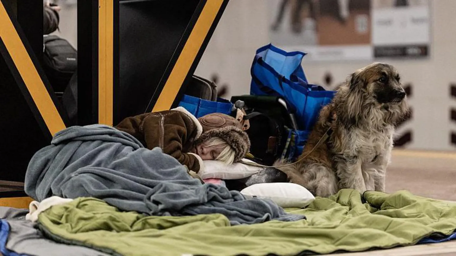 AFP via A young woman sleeps on the floor of a metro station beside her dog during an overnight sheltering, in Kyiv, Ukraine on February 7, 2026. 