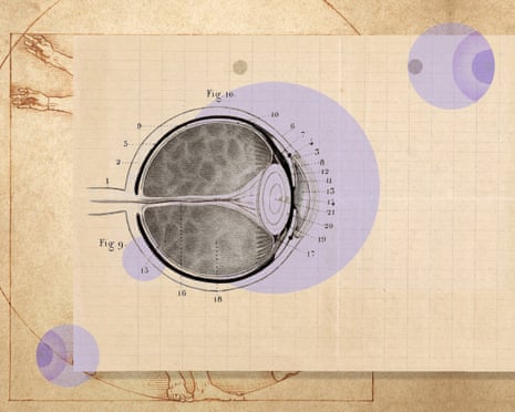 The illustration shows an archival image of an eye.