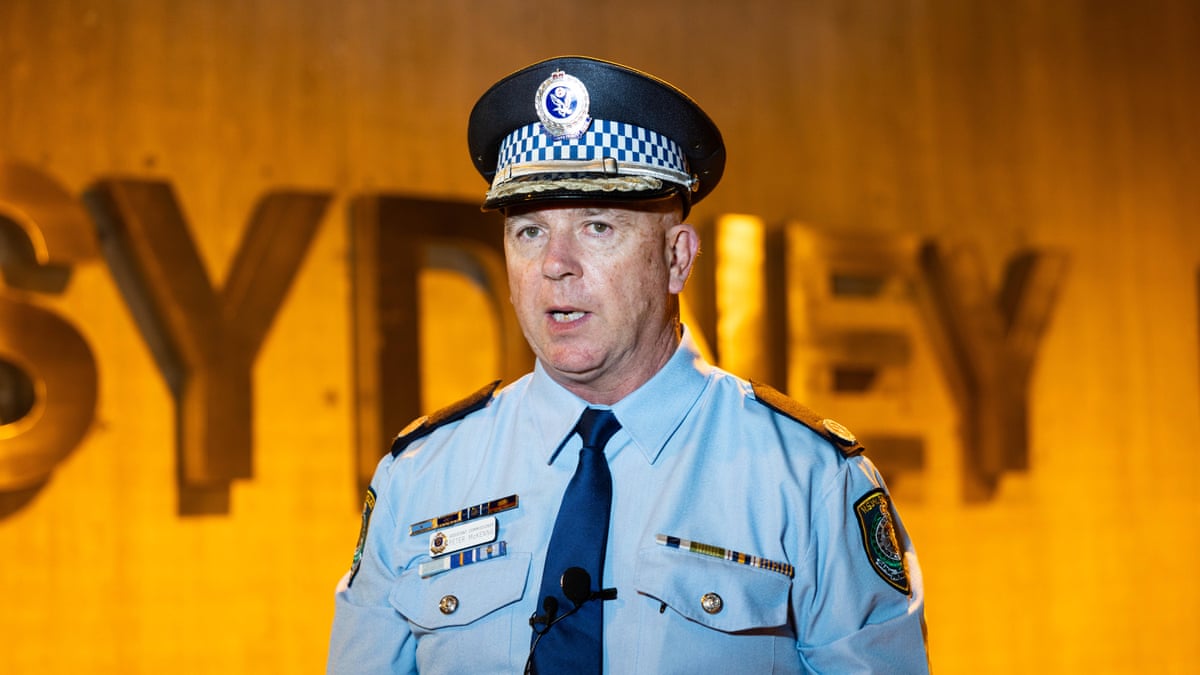 Police say protest speakers 'incited the crowd to march' before chaos at Sydney protests – video