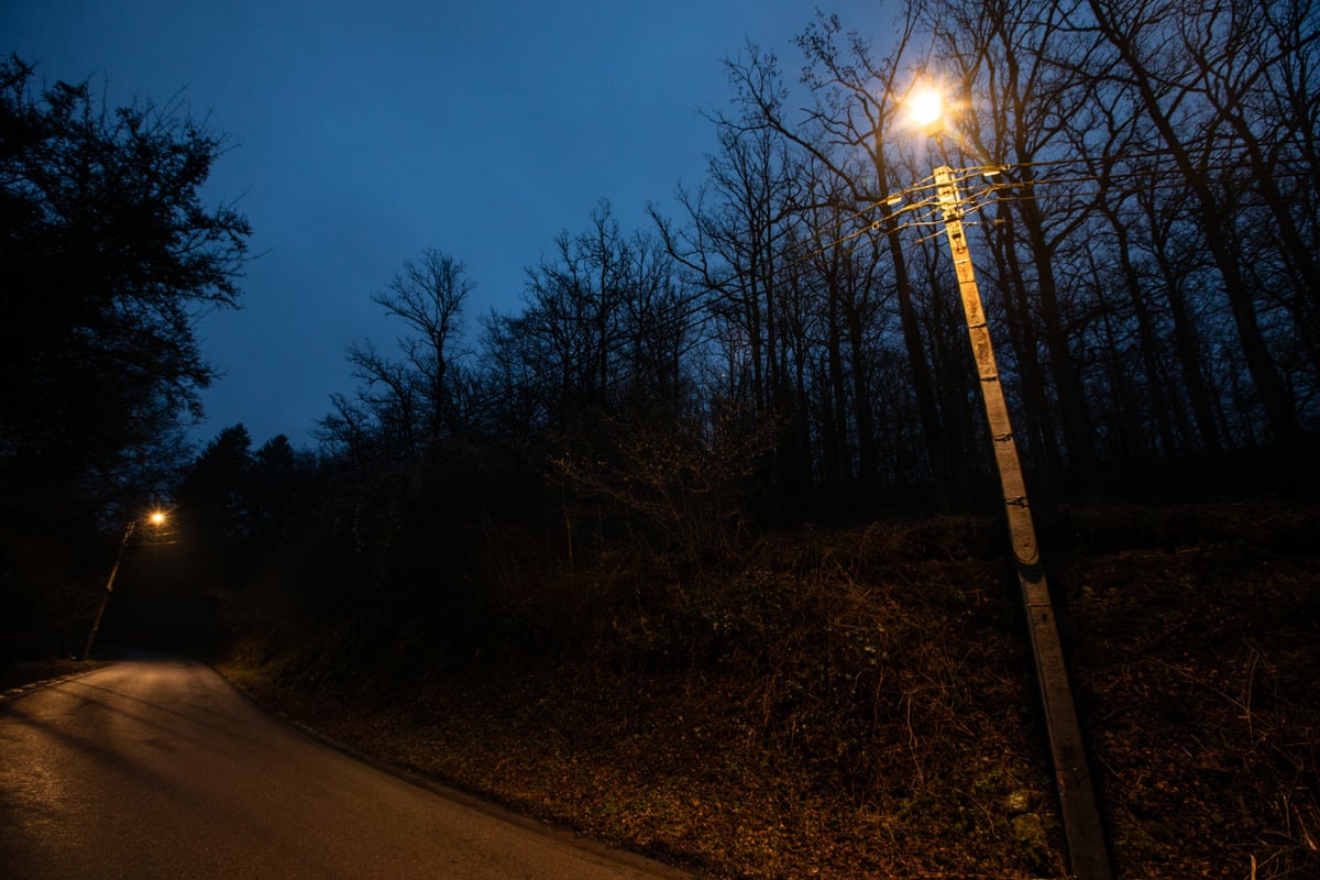 Two streetlights on a minor road lined by trees at night