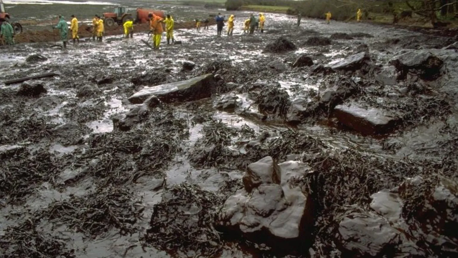  Cleanup operation along the Pembrokeshire coastline after 72,000 tonnes of crude oil was released into the sea 