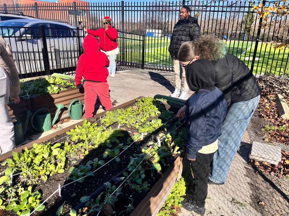 students harvest a garden