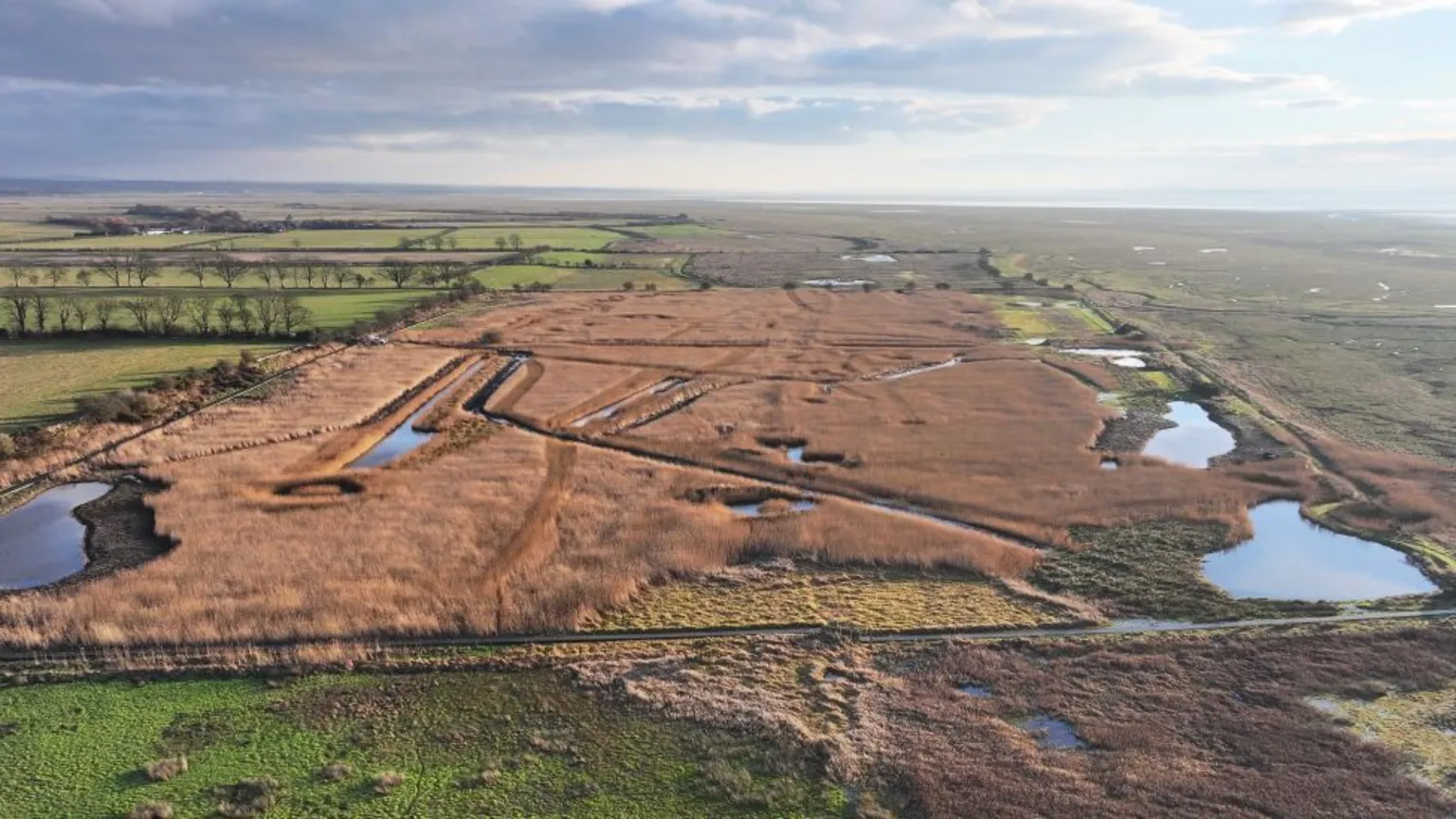 NatureScot An aerial shot of a large area of land. There are scattered pools of water. The land is brown in places and green in others. The land is flat and stretches out to the sea. 