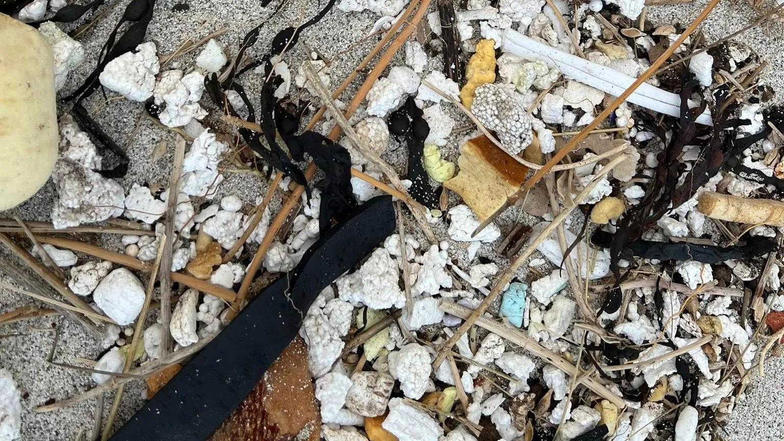 Sanday Community Craft Hub Polystyrene pieces lie intermingled on the sand with driftwood, seaweed and beach stones. It is difficult to determine whether some of the white shapes are plastic or pebble.
