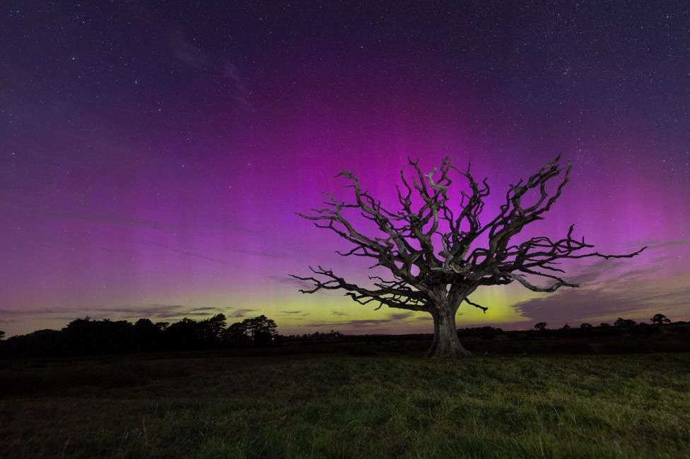 Lliwiau llachar yr aurora borealis yng Ngwynedd