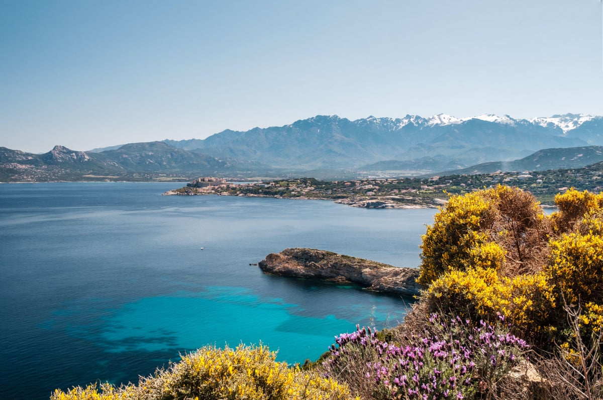 Flowers, sea and snowy mountains on Corsica