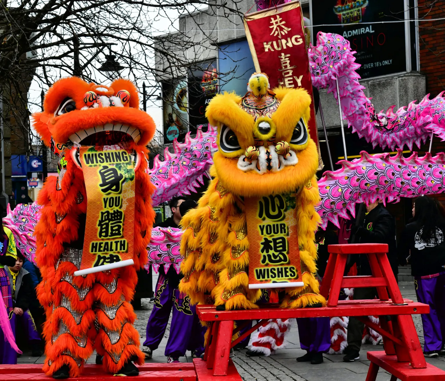 Raymond Watson Orange and yellow Chinese dragons with pink tails stand on red structures during a street performance. The dancers' purple trousers can be seen below the huge puppets. 