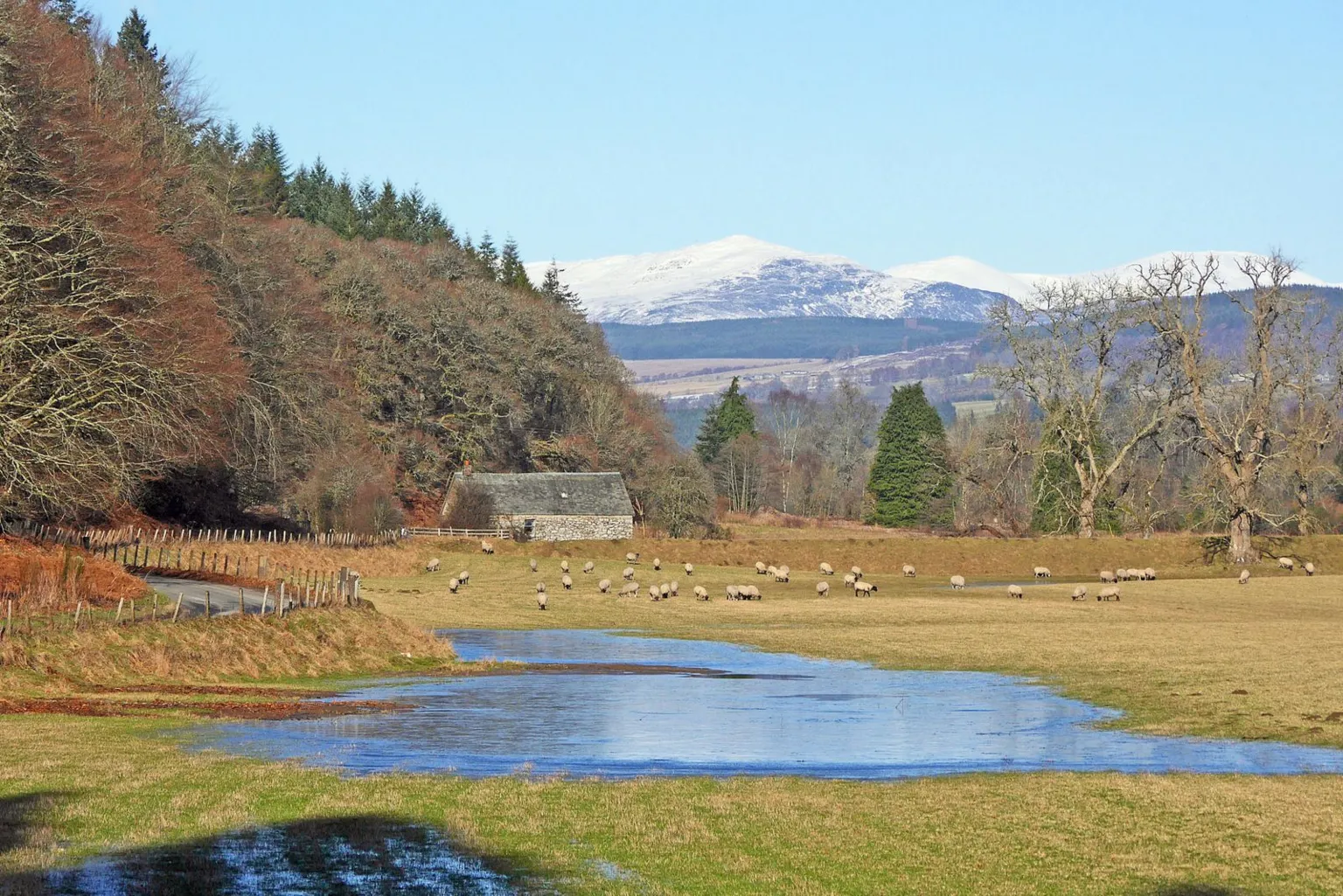 Eric Niven A scenic view of a wide, grassy field with sheep, trees and snow-covered mountains in the distance. There is a pool of water in the foreground and a small stone building next to a wooded area.