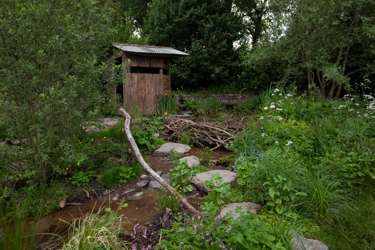 A wild garden with street and wooden hut