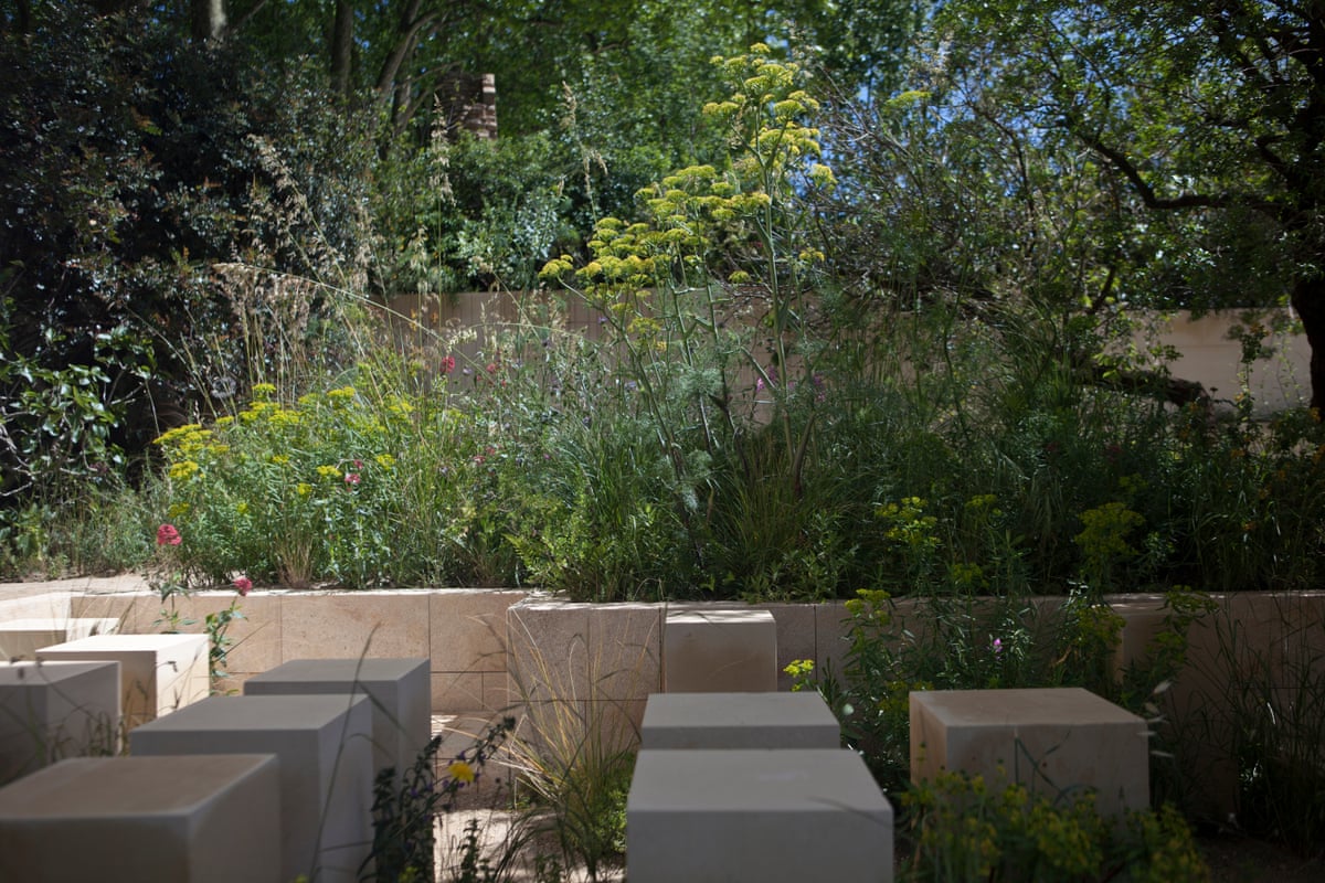 A garden with stone blocks to sit on and a wild planting in the background
