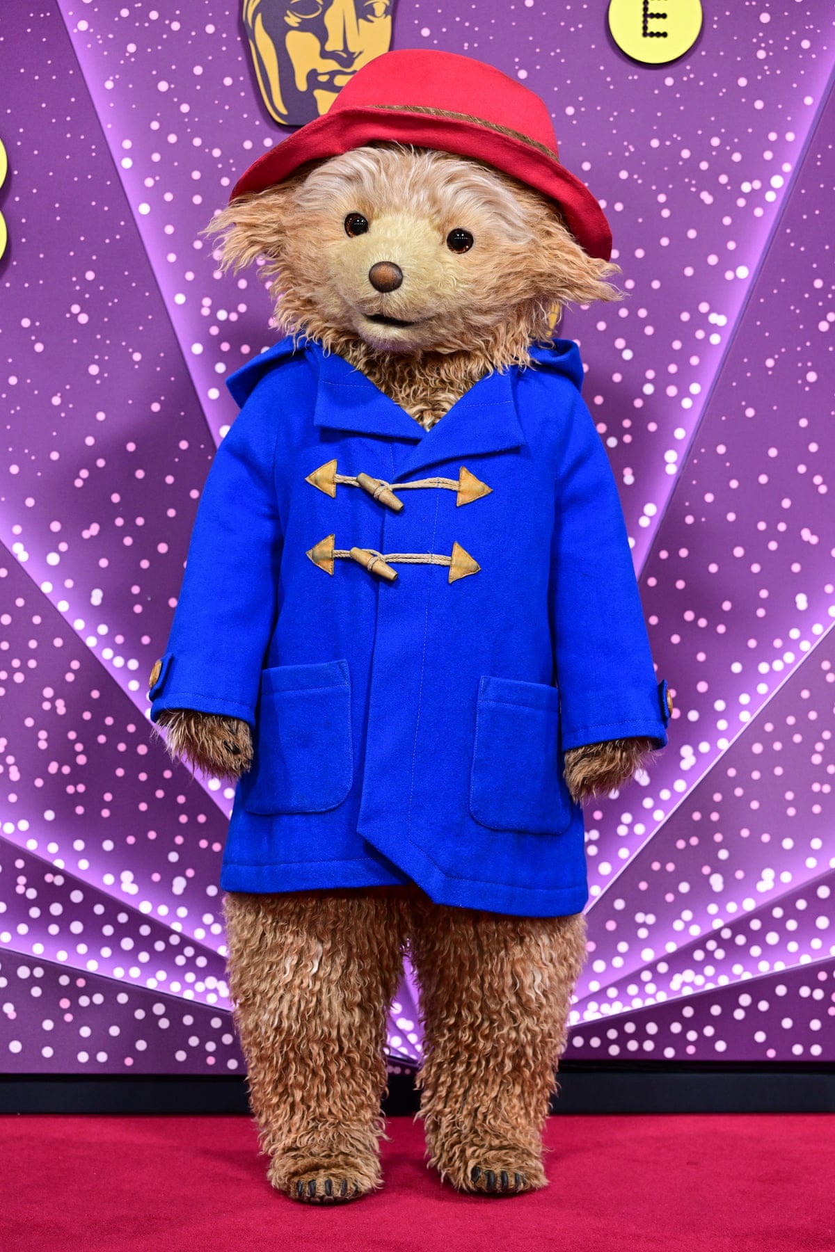 Paddington Bear