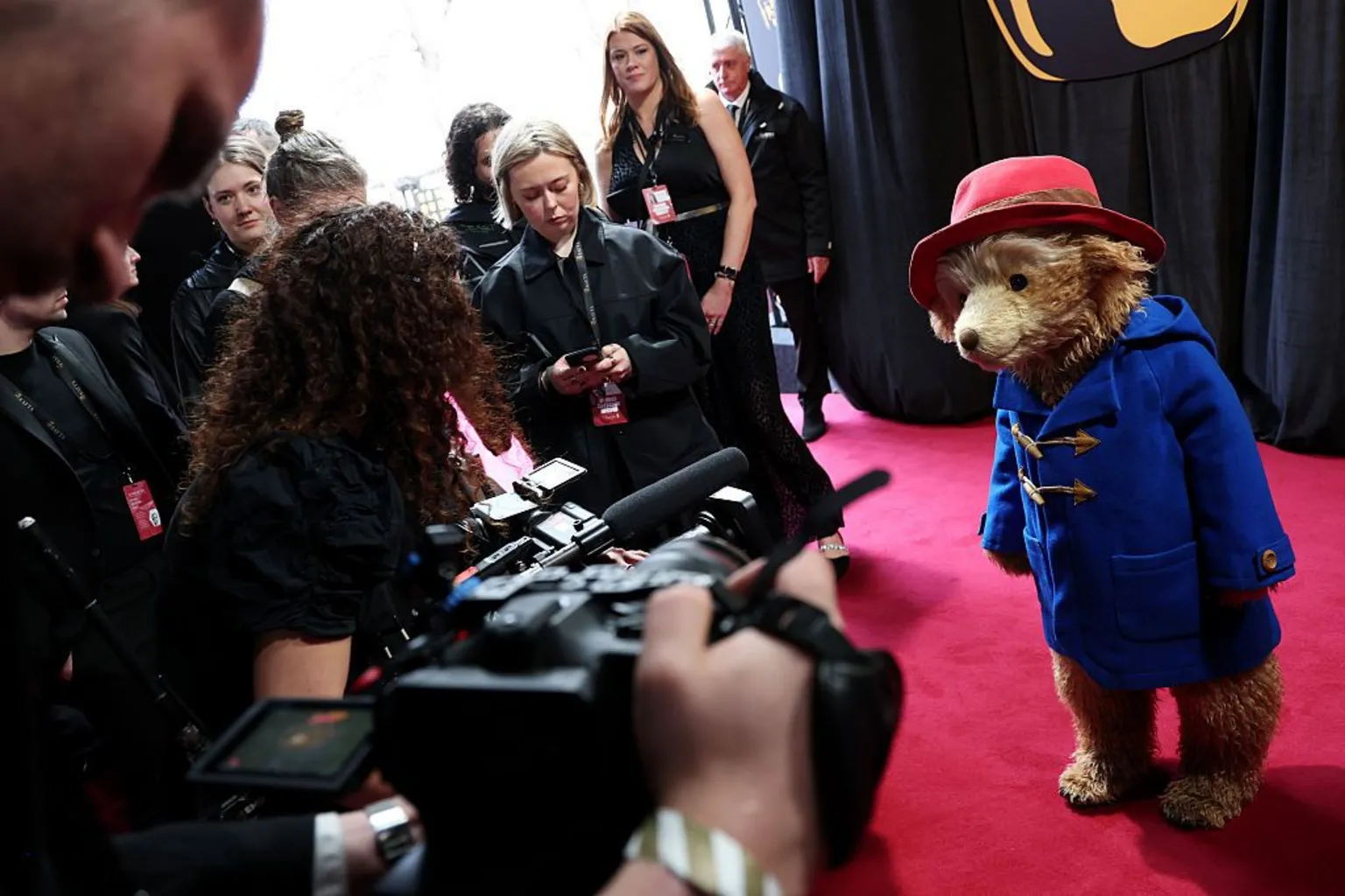  Paddington on the red carpet with photographers