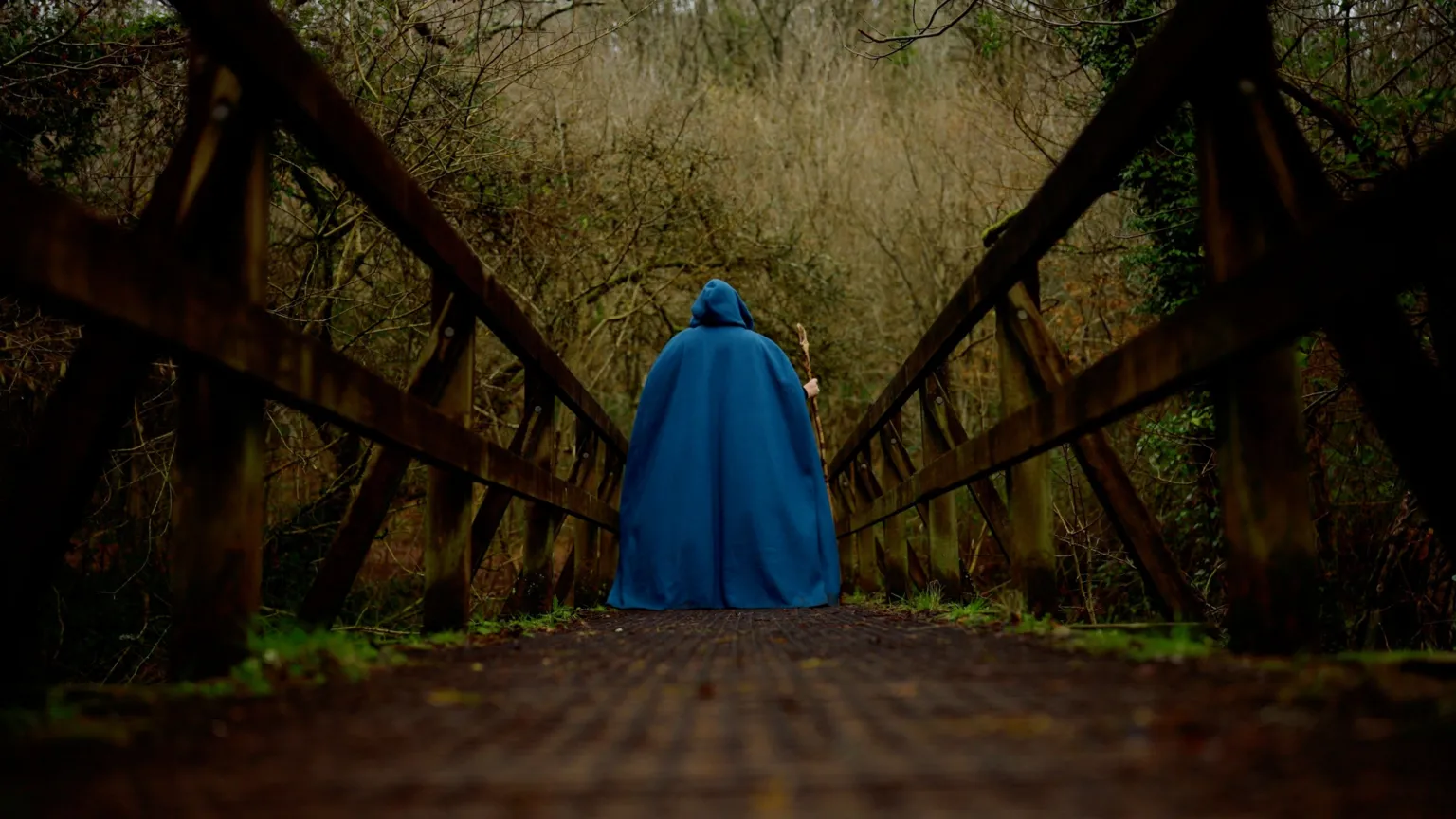 Cherry Tree A person, standing on a bridge facing away from the camera, wearing blue robes and holding a wooden staff. Trees can be seen in the background.