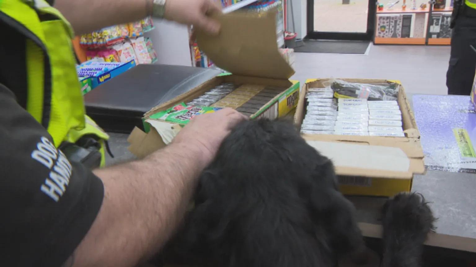 The arm of a police dog handler in liveried uniform can be seen as he rips open boxes of tobacco on a shop counter. Boo the dog, a handsome black Labrador, can be seen, his paws up on the counter as he sniffs the products.