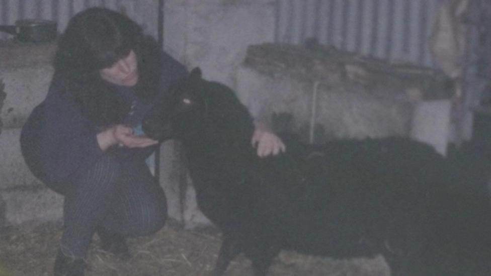 Beryl gydag Enlli y ddafad