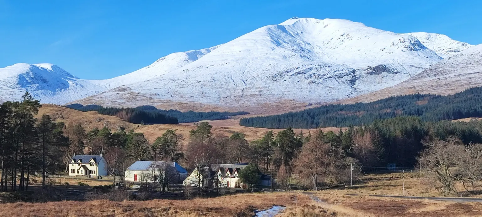Gary Stanton A mountain covered in snow stands in the background of a valley with trees and three buildings. The sky is bright blue.