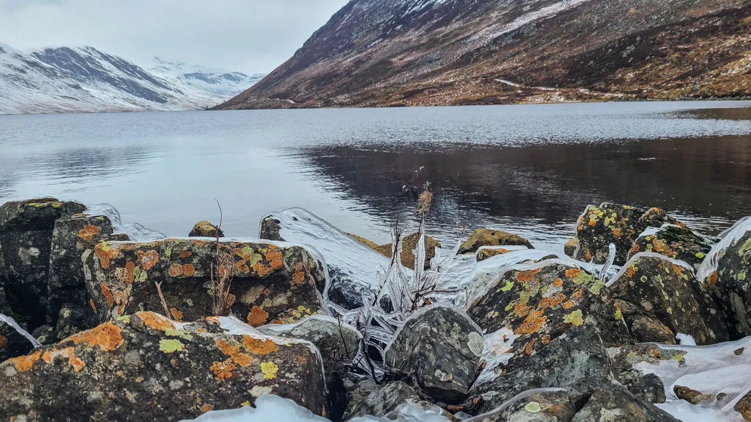 Valerie Pegler A winter landscape of a loch with snow-covered mountains in the background. The rocks in the foreground are speckled with orange and green algae and there are tree branches covered in ice. 