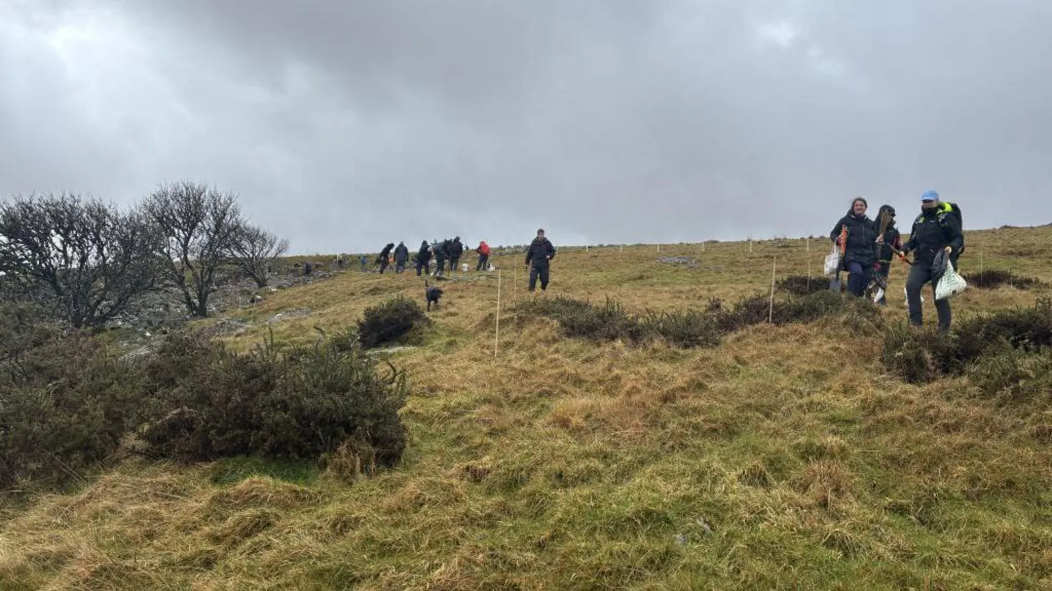 The Duchy of Cornwall A picture of a large area of grass. There is a number of people walking around the area.