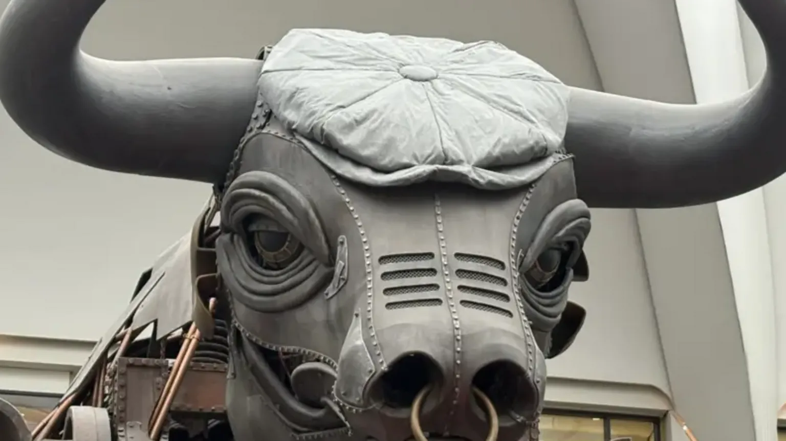  The head of a mechanical bull, wearing a large grey flat cap. There is a light-coloured wall behind the bull. Its horns and the rest of its body extend out of the shot.