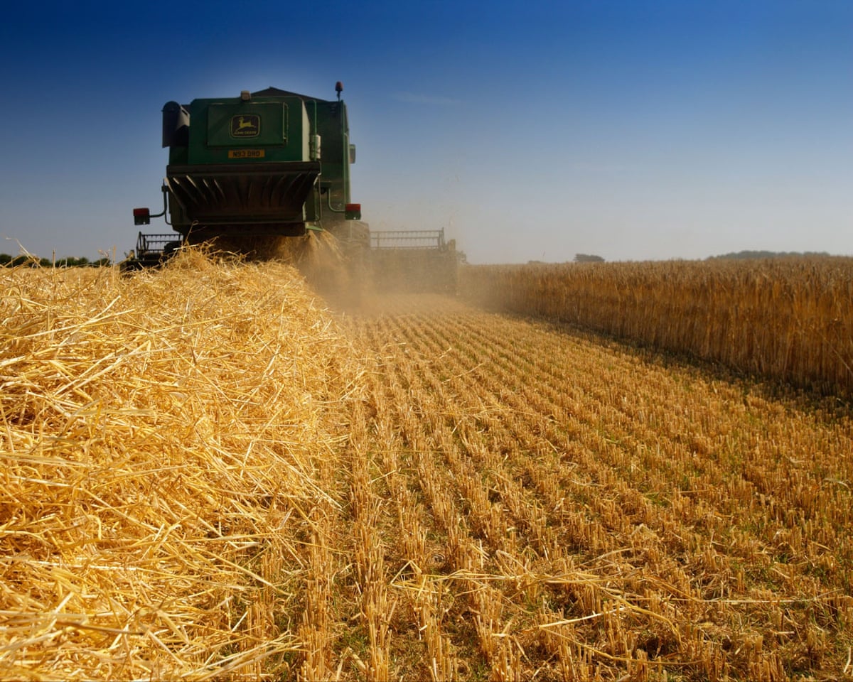 A combine harvester.