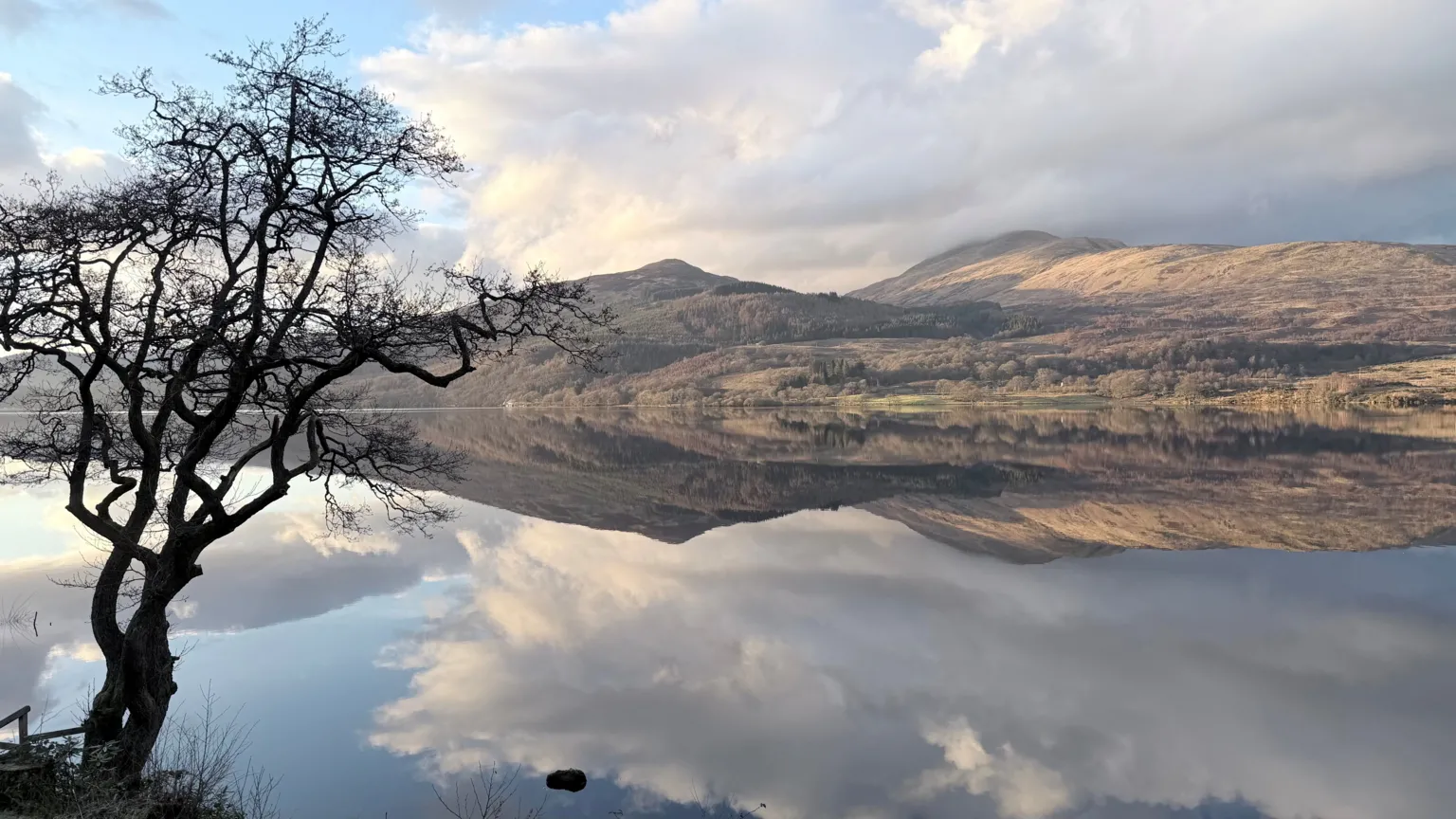 David Strachan A still lake perfectly reflecting the surrounding mountains, clouds, and sky. A leafless tree stands on the left edge of the frame beside the water.