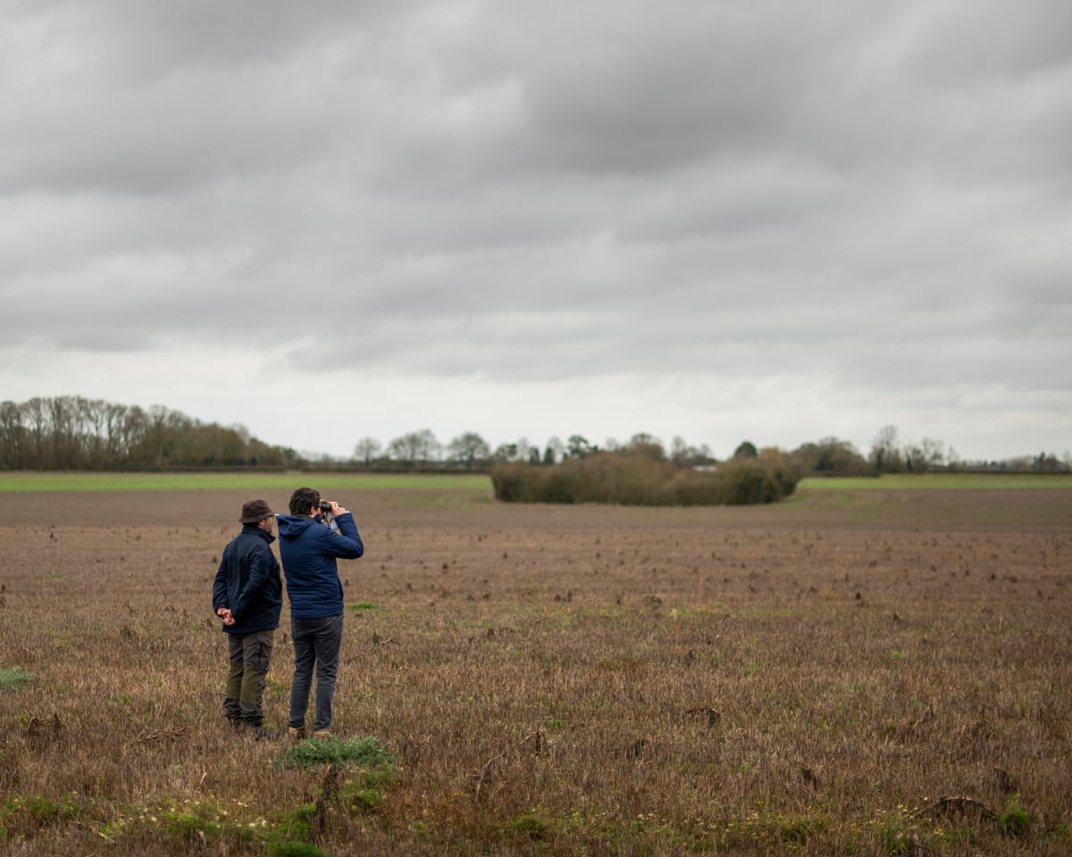 Patrick Barkham looking through binoculars with Collin in the fields.