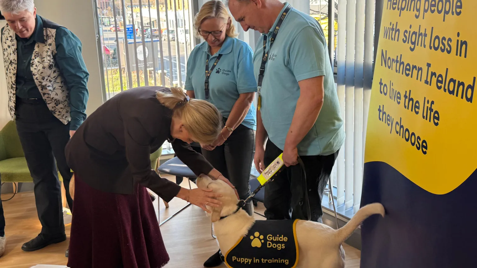 Peter Lockhart meeting Sophie, Duchess of Edinburgh. Peter is wearing a blue guide dogs polo shirt and dark trousers. A woman with blonde hair also wearing a blue guide dogs polo shirt is beside him. He is holding on to a lead attached to guide dog Willa who is a white Labrador and is wearing a 'guide dogs puppy in training' coat. Sophie has blonde hair tied back and wearing a purple skirt suit. She is bent over petting Willa.