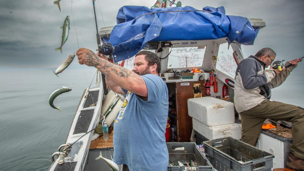 Llond gwialen o fecryll