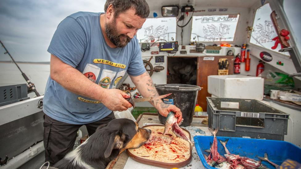 Ydy Mos eisiau helpu neu eisiau pysgodyn?