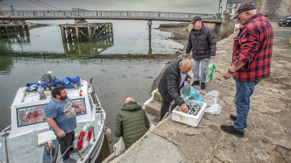 Cofis lleol yn helpu eu hunain i bysgod