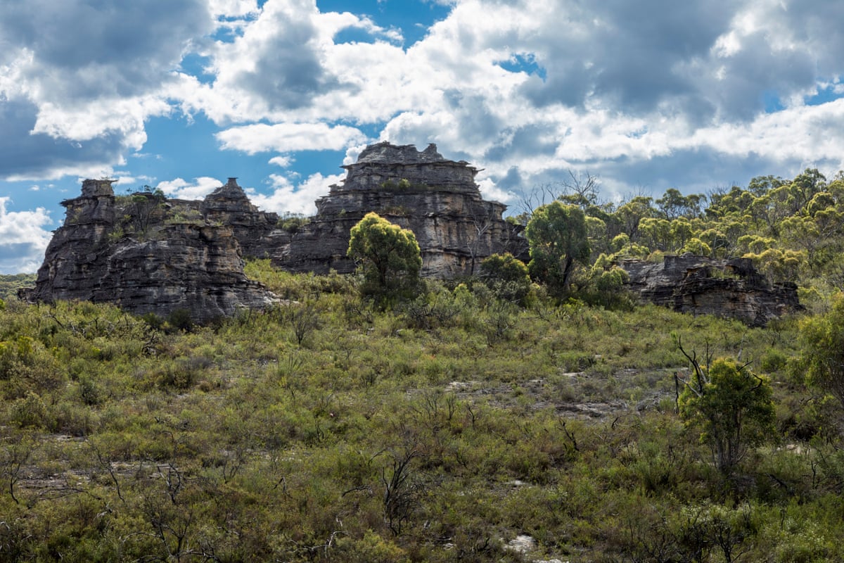The pagoda-like landforms in the gardens of stone sit on top of a hill.