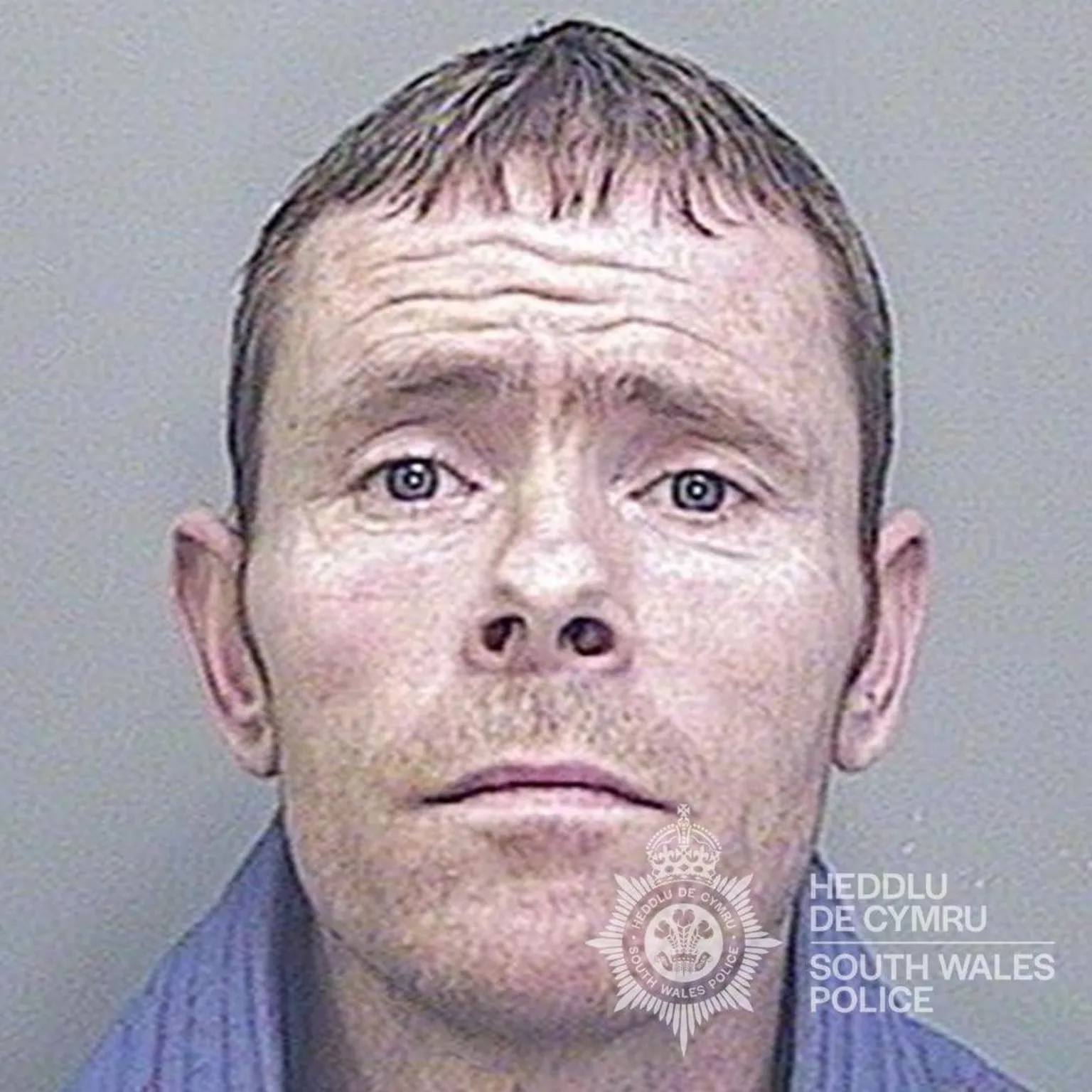 South Wales Police Custody shot of Terry Andrews, aged 36. He has blue eyes and short brown hair. The South Wales Police logo can be seen in the bottom right hand corner. 
