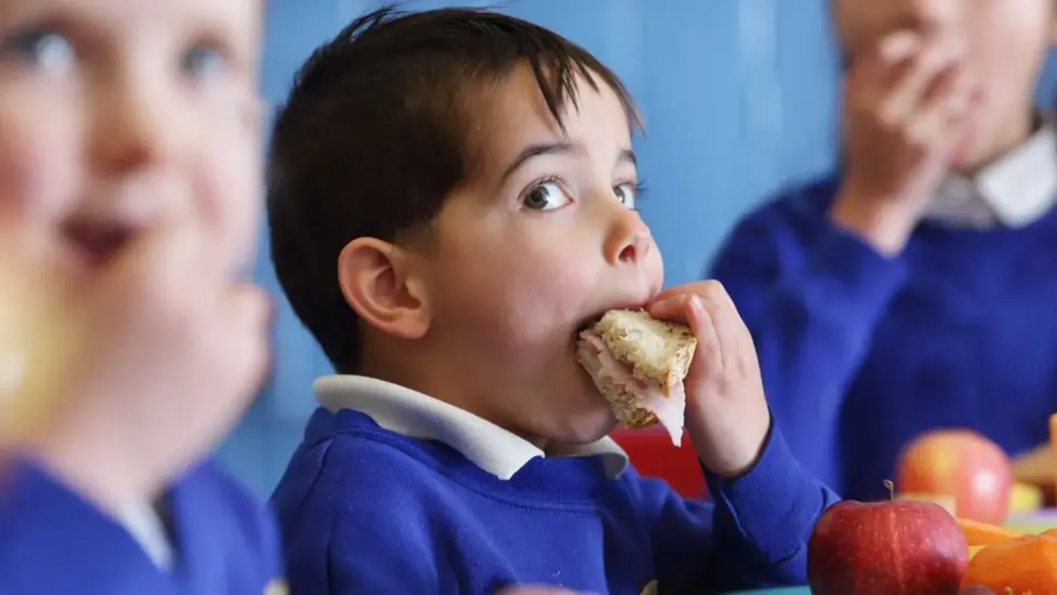 A little boy with bark hair putting a sandwich in his mouth. He is wearing a blue jumper with with polo shirt underneath. Apples are in front of him and two other children are blurred beside him.