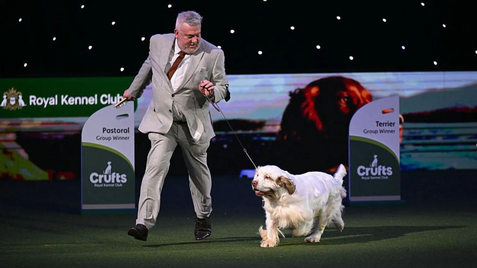AFP via Owner parades winning dog on lead