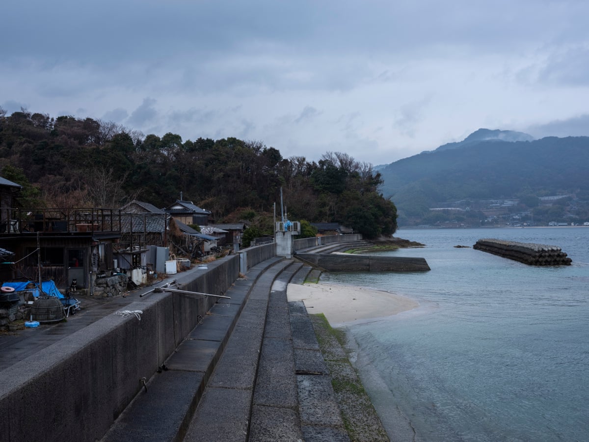 A settlement near the ferry port, with water and mountains in the background