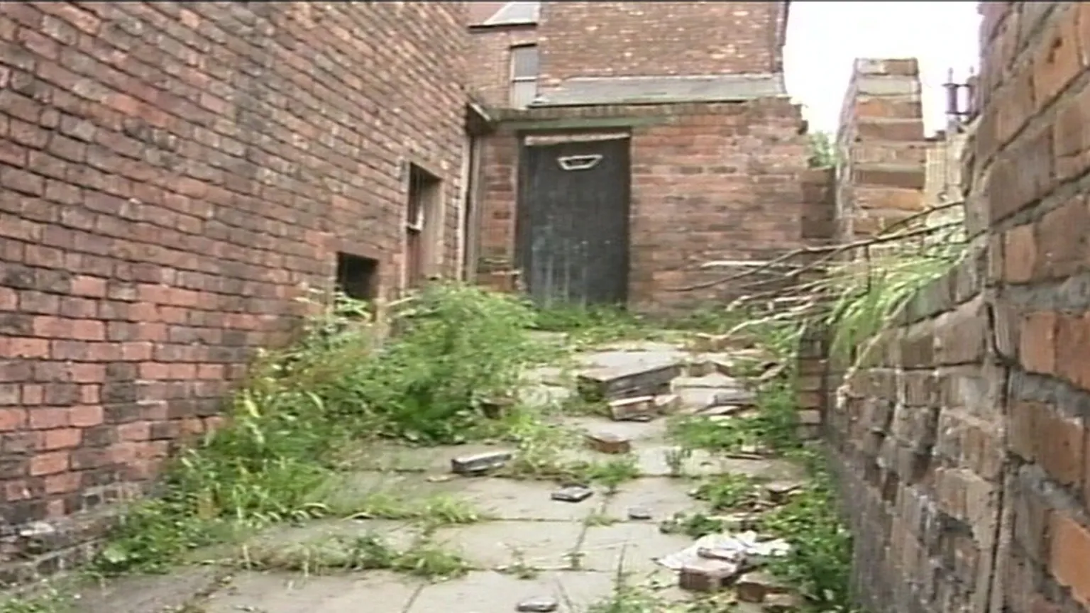 An overgrown alley bordered by a crumbling brick wall, with a black wooden doorway at its far end