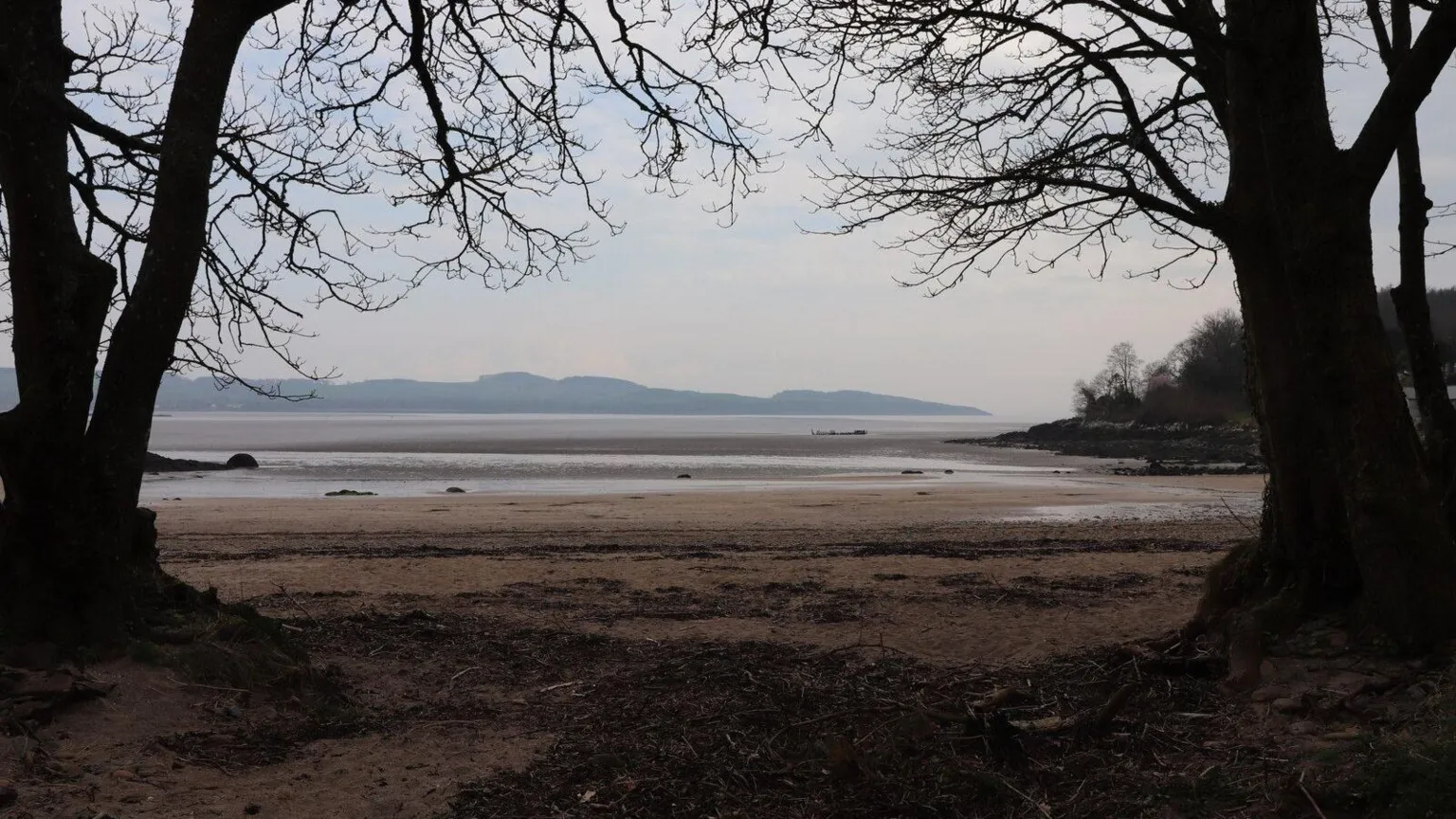 Billy McCrorie Dhoon beach through the trees on a misty day