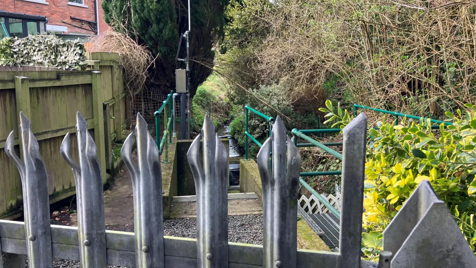 Hedges and plants in front of a grey fence near Linear Park in north Belfast. There is the back of a house and a brown fence to the left.